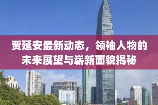 贾延安最新动态，领袖人物的未来展望与崭新面貌揭秘