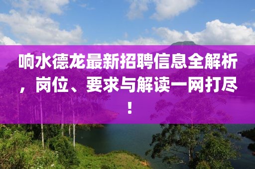 响水德龙最新招聘信息全解析，岗位、要求与解读一网打尽！