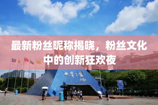 最新粉丝昵称揭晓，粉丝文化中的创新狂欢夜
