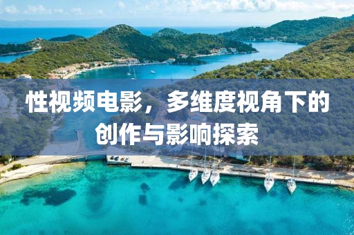 性视频电影，多维度视角下的创作与影响探索