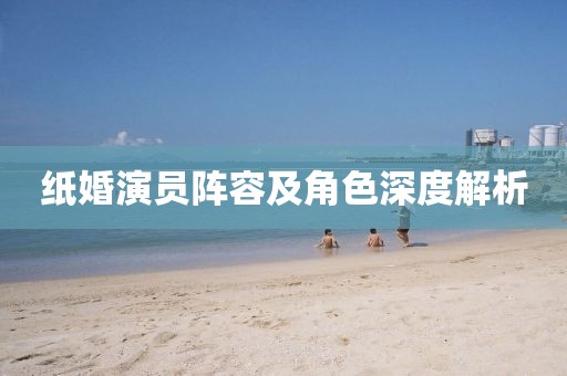 纸婚演员阵容及角色深度解析