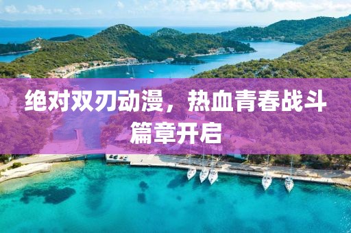 绝对双刃动漫，热血青春战斗篇章开启
