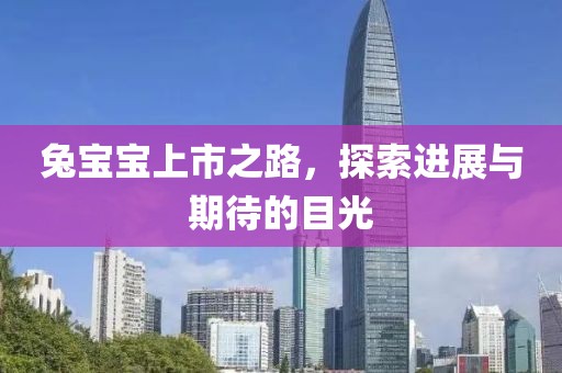 兔宝宝上市之路，探索进展与期待的目光