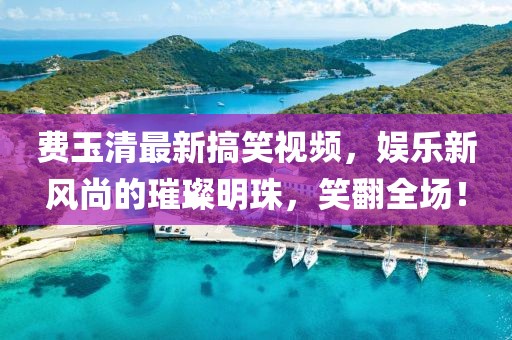 费玉清最新搞笑视频，娱乐新风尚的璀璨明珠，笑翻全场！