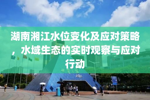 湖南湘江水位变化及应对策略，水域生态的实时观察与应对行动