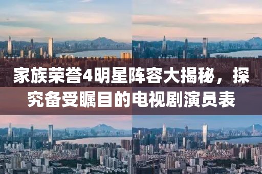家族荣誉4明星阵容大揭秘，探究备受瞩目的电视剧演员表