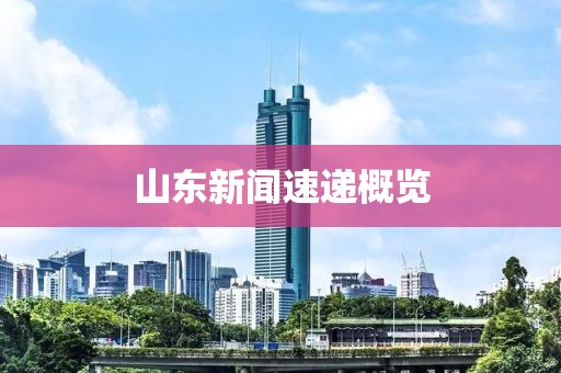 山东新闻速递概览