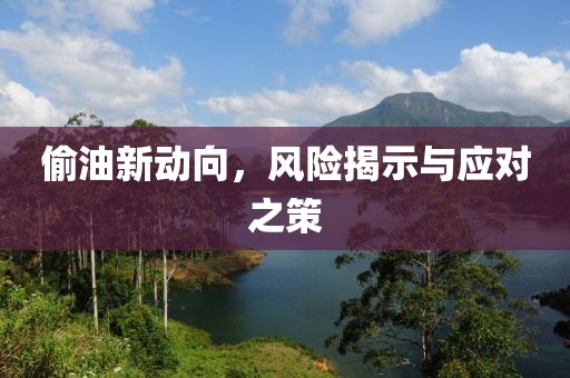 偷油新动向，风险揭示与应对之策