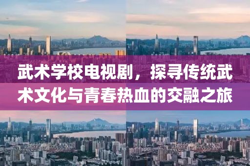 武术学校电视剧，探寻传统武术文化与青春热血的交融之旅