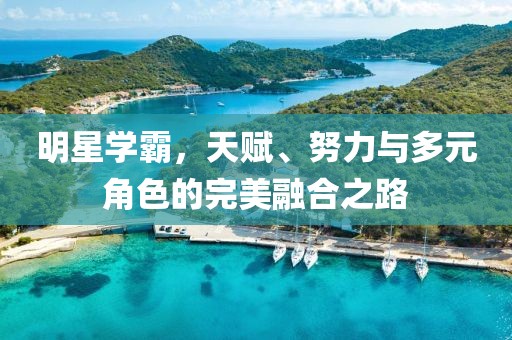 明星学霸，天赋、努力与多元角色的完美融合之路
