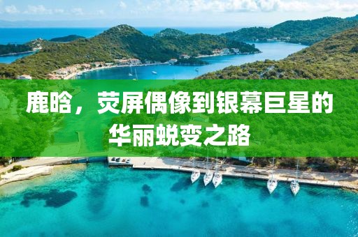 鹿晗，荧屏偶像到银幕巨星的华丽蜕变之路