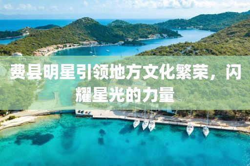 费县明星引领地方文化繁荣，闪耀星光的力量