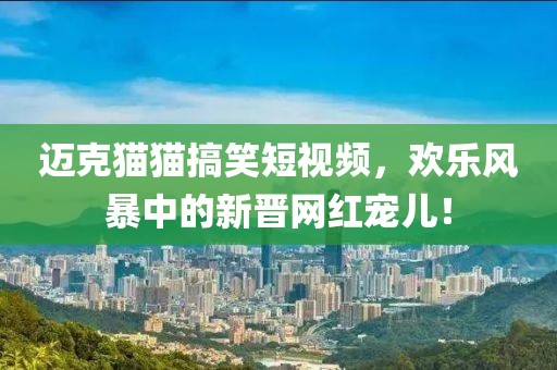 迈克猫猫搞笑短视频，欢乐风暴中的新晋网红宠儿！