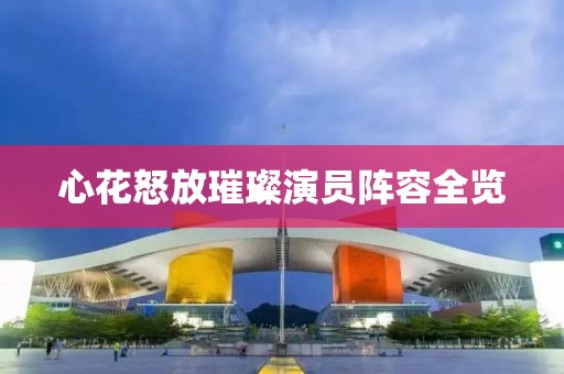 心花怒放璀璨演员阵容全览