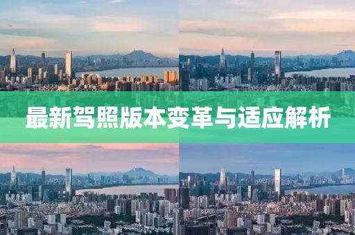 最新驾照版本变革与适应解析