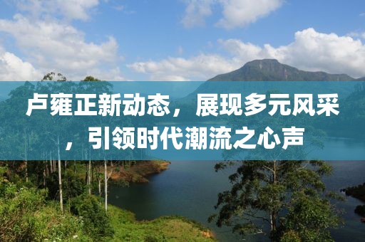 卢雍正新动态，展现多元风采，引领时代潮流之心声