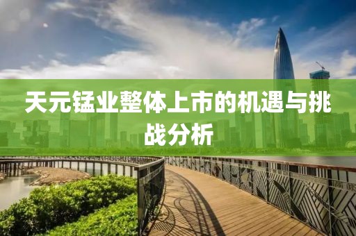 天元锰业整体上市的机遇与挑战分析