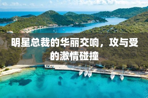 明星总裁的华丽交响，攻与受的激情碰撞