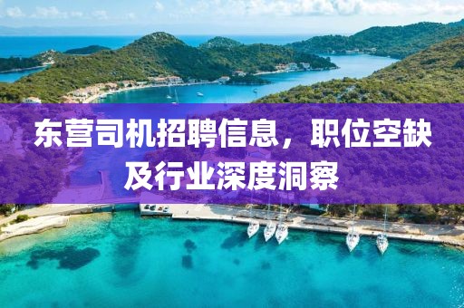 东营司机招聘信息，职位空缺及行业深度洞察