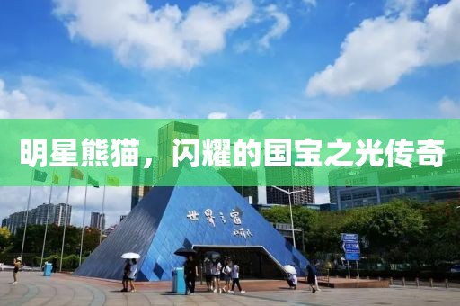 明星熊猫，闪耀的国宝之光传奇