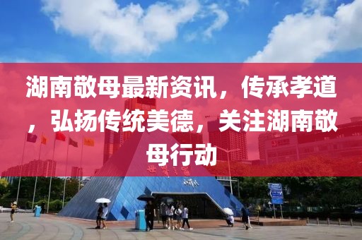 湖南敬母最新资讯，传承孝道，弘扬传统美德，关注湖南敬母行动