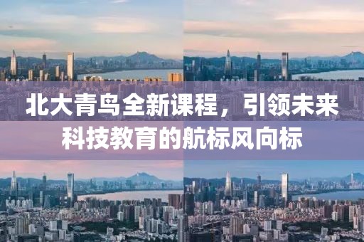 北大青鸟全新课程，引领未来科技教育的航标风向标