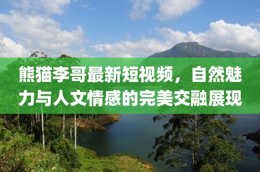 熊猫李哥最新短视频，自然魅力与人文情感的完美交融展现