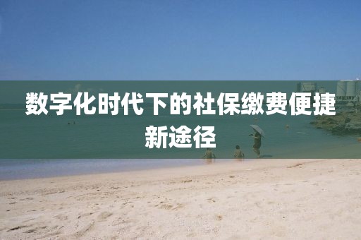 数字化时代下的社保缴费便捷新途径
