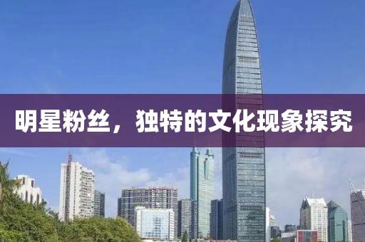明星粉丝，独特的文化现象探究