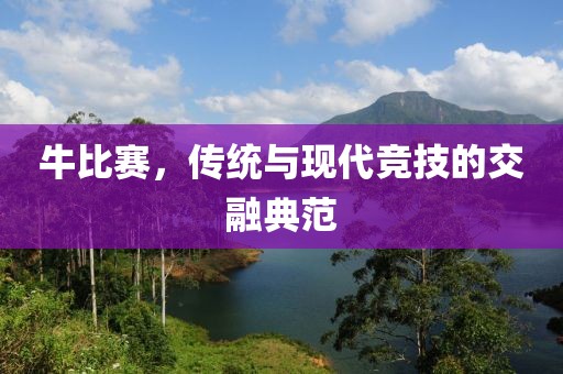牛比赛，传统与现代竞技的交融典范