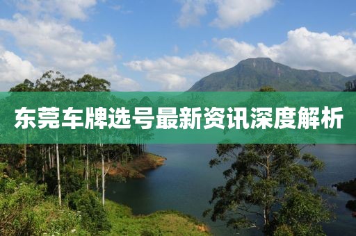 东莞车牌选号最新资讯深度解析