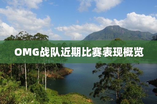OMG战队近期比赛表现概览