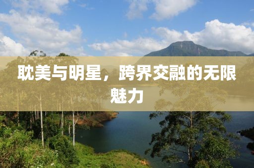 耽美与明星，跨界交融的无限魅力