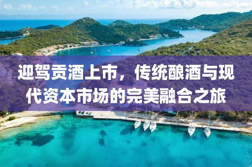 迎驾贡酒上市，传统酿酒与现代资本市场的完美融合之旅
