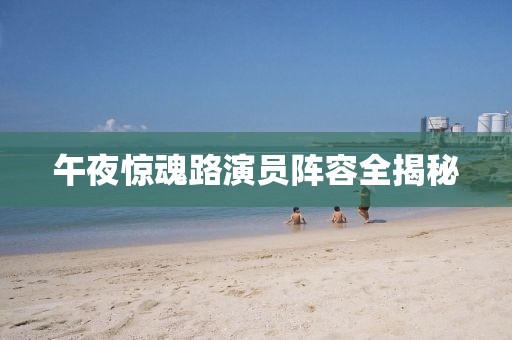 午夜惊魂路演员阵容全揭秘