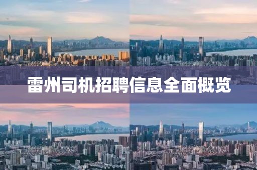 雷州司机招聘信息全面概览