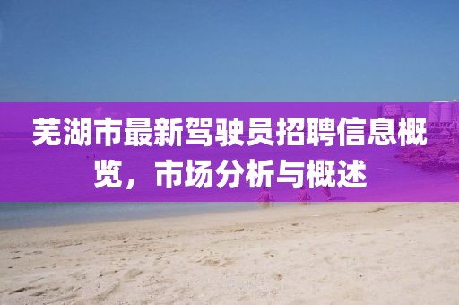芜湖市最新驾驶员招聘信息概览，市场分析与概述