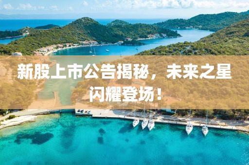 新股上市公告揭秘，未来之星闪耀登场！