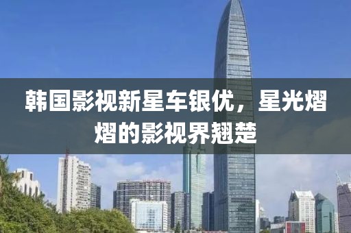 韩国影视新星车银优，星光熠熠的影视界翘楚
