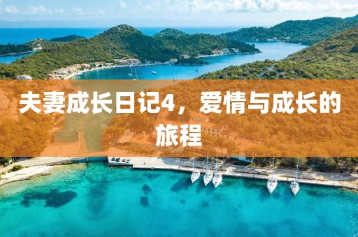 夫妻成长日记4，爱情与成长的旅程