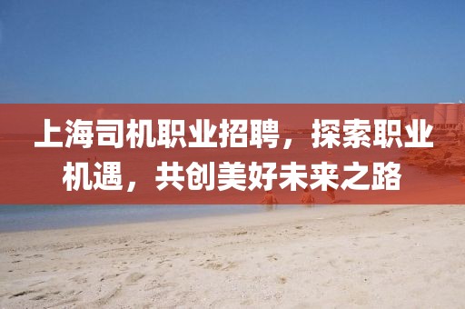 上海司机职业招聘，探索职业机遇，共创美好未来之路