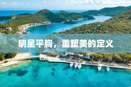 明星平胸，重塑美的定义