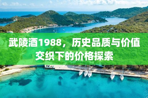 武陵酒1988，历史品质与价值交织下的价格探索