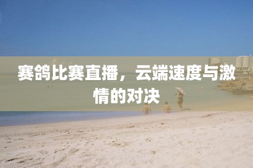 赛鸽比赛直播，云端速度与激情的对决