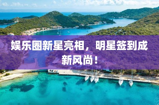 娱乐圈新星亮相，明星签到成新风尚！