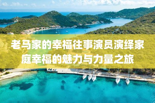 老马家的幸福往事演员演绎家庭幸福的魅力与力量之旅