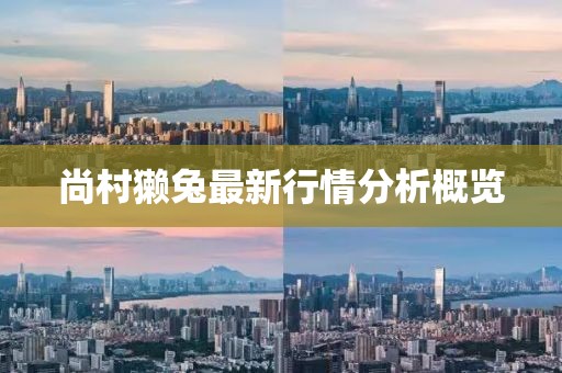 尚村獭兔最新行情分析概览