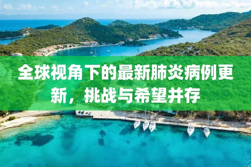 全球视角下的最新肺炎病例更新，挑战与希望并存