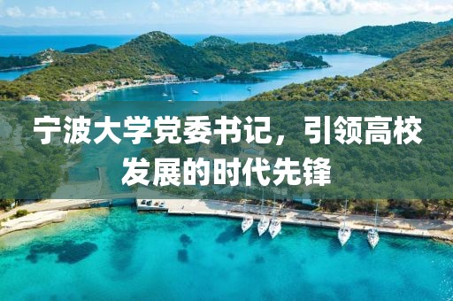 宁波大学党委书记，引领高校发展的时代先锋