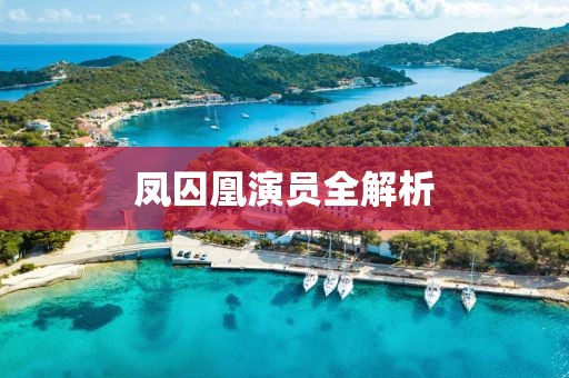 凤囚凰演员全解析